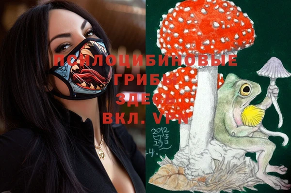 хмурый Верхний Тагил
