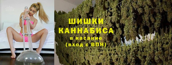 таблы Бородино