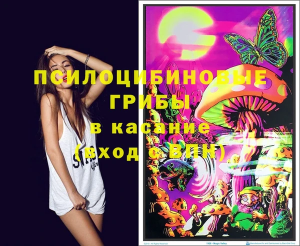 шишки Верхнеуральск
