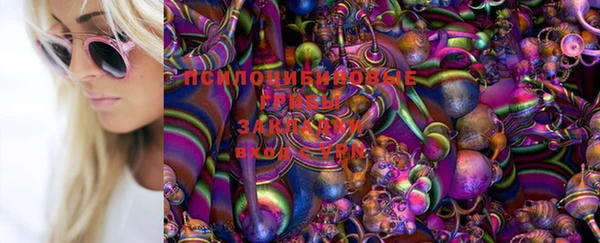 шишки Верхнеуральск