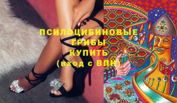 хмурый Верхний Тагил