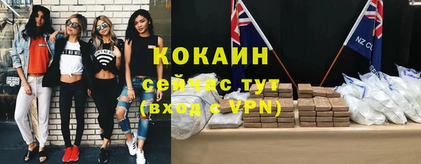 таблы Бородино
